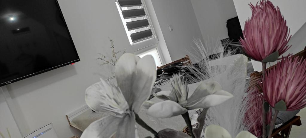 Fotografie z fotogalerie ubytování Divcibare As apartmani v destinaci Divčibare