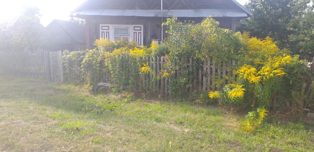 Vonkajšia záhrada v ubytovaní CICHY ZAKĄTEK