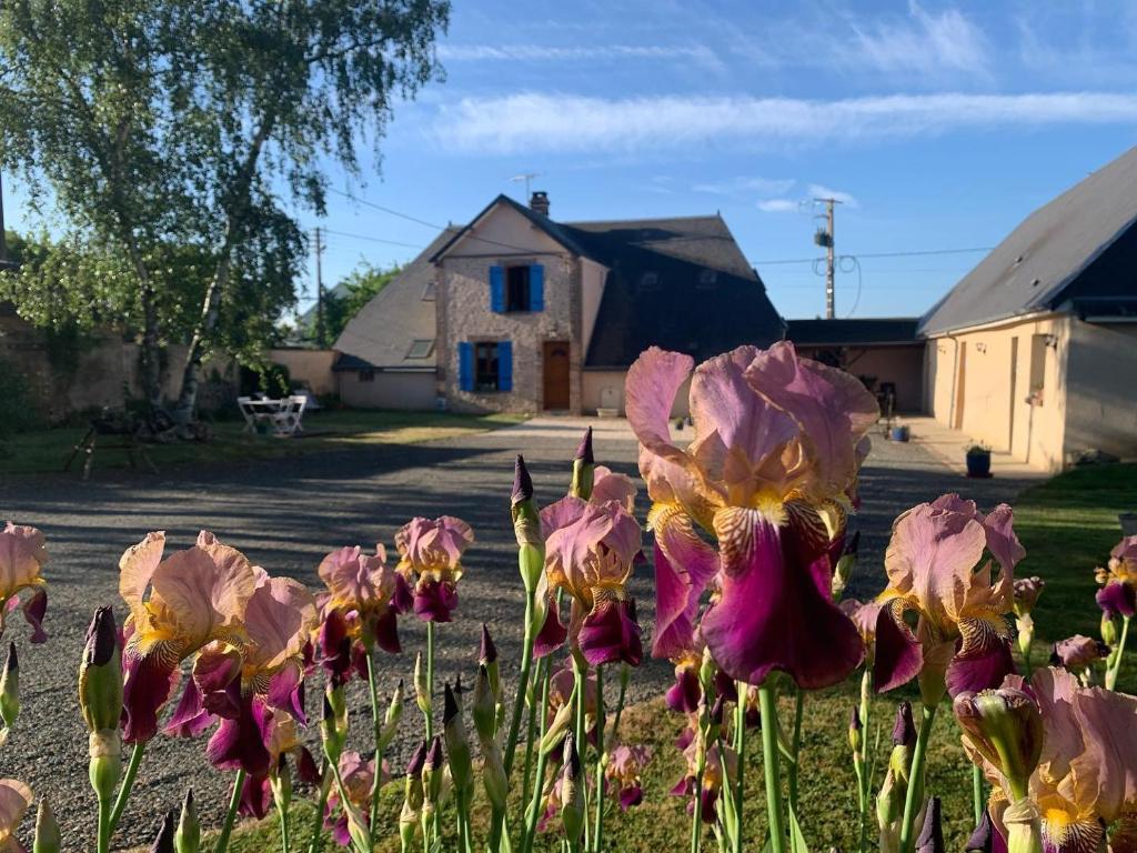 Ein paar rosa Blumen vor einem Haus in der Unterkunft Les Logis du Breuil in Marchéville