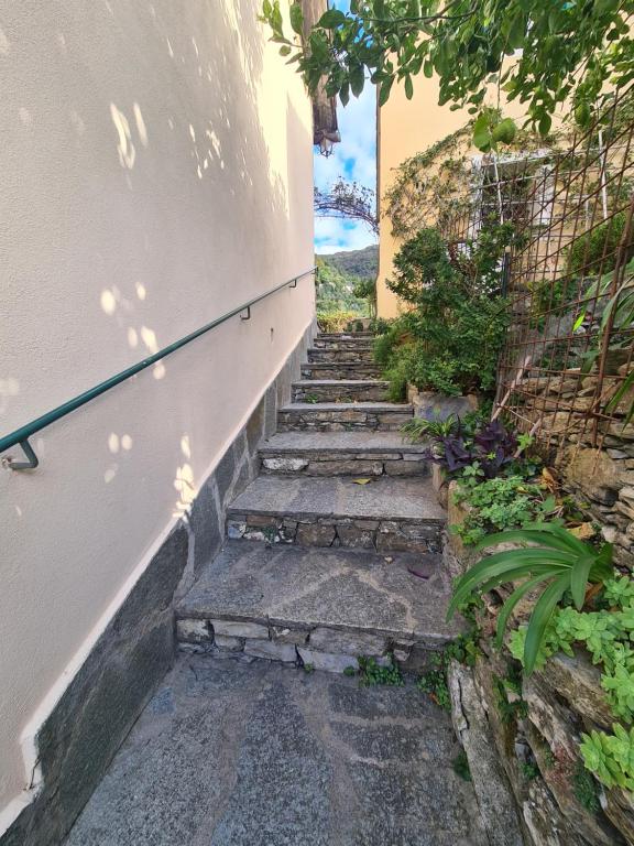 Fotografia z galérie ubytovania Castrusso il Frantoio di Rapallo by PortofinoVacanze v destinácii Rapallo
