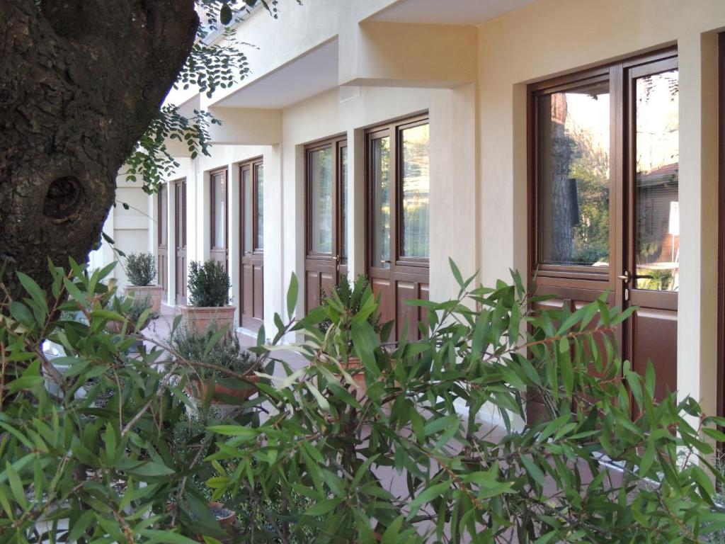 Zahrada ubytování Hotel Zeus