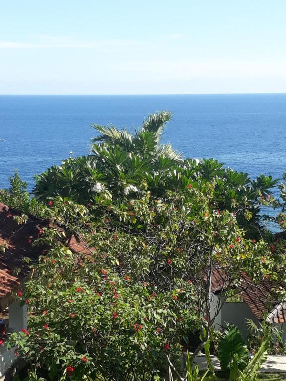 a tree with fruit in front of the ocean at Anda Amed Villas & Spa in Amed