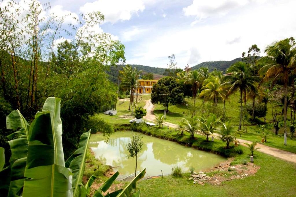 - une vue sur un étang dans un parc planté de palmiers dans l'établissement Pousada Toca da Coruja, à Bonito