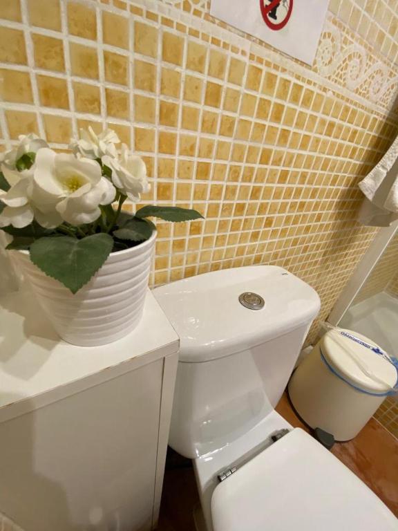 Kúpeľňa v ubytovaní Apartamentos Sevilla Palace