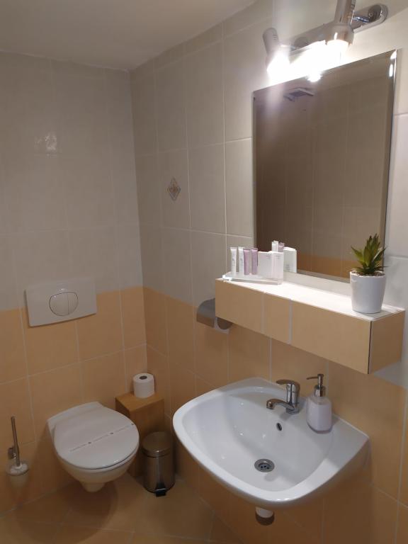 Koupelna v ubytování Apartmány Orava - Zuberec
