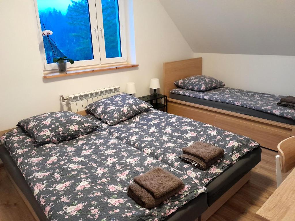 Sowinka - Triple Chambre Avec Salle De Bain Privée