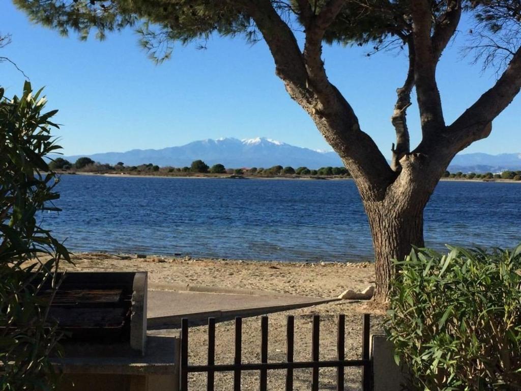 un banc assis à côté d'un arbre près d'un lac dans l'établissement Appartement 2 Pièces Climatisé, Terrasse, Parking, Face au Lac Marin, à 900m de la Plage - Port Leucate - FR-1-81-66, à Port-Leucate