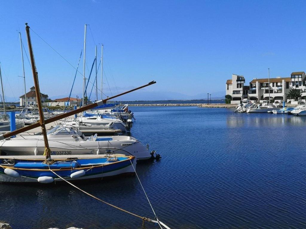 eine Gruppe von Booten, die in einem Hafen angedockt sind in der Unterkunft Appartement Port Barcarès, 2 pièces, 4 personnes - FR-1-195-46 in Le Barcarès