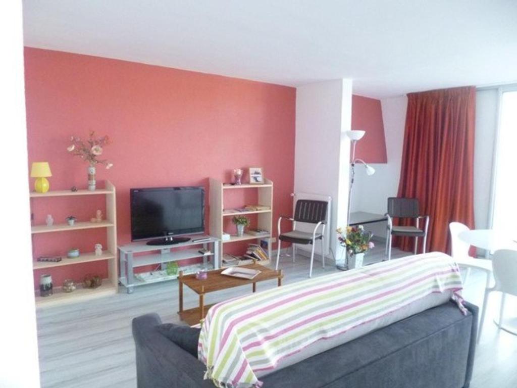 a living room with a couch and a tv at Appartement Banyuls-sur-Mer, 2 pièces, 4 personnes - FR-1-225C-21 in Banyuls-sur-Mer