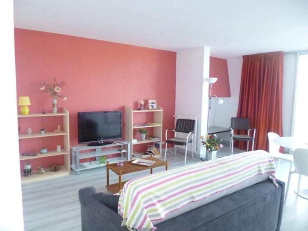 un salon avec un canapé et une télévision dans l'établissement Appartement 2P avec parking à Banyuls-sur-Mer, proche du port - FR-1-225C-21, à Banyuls-sur-Mer
