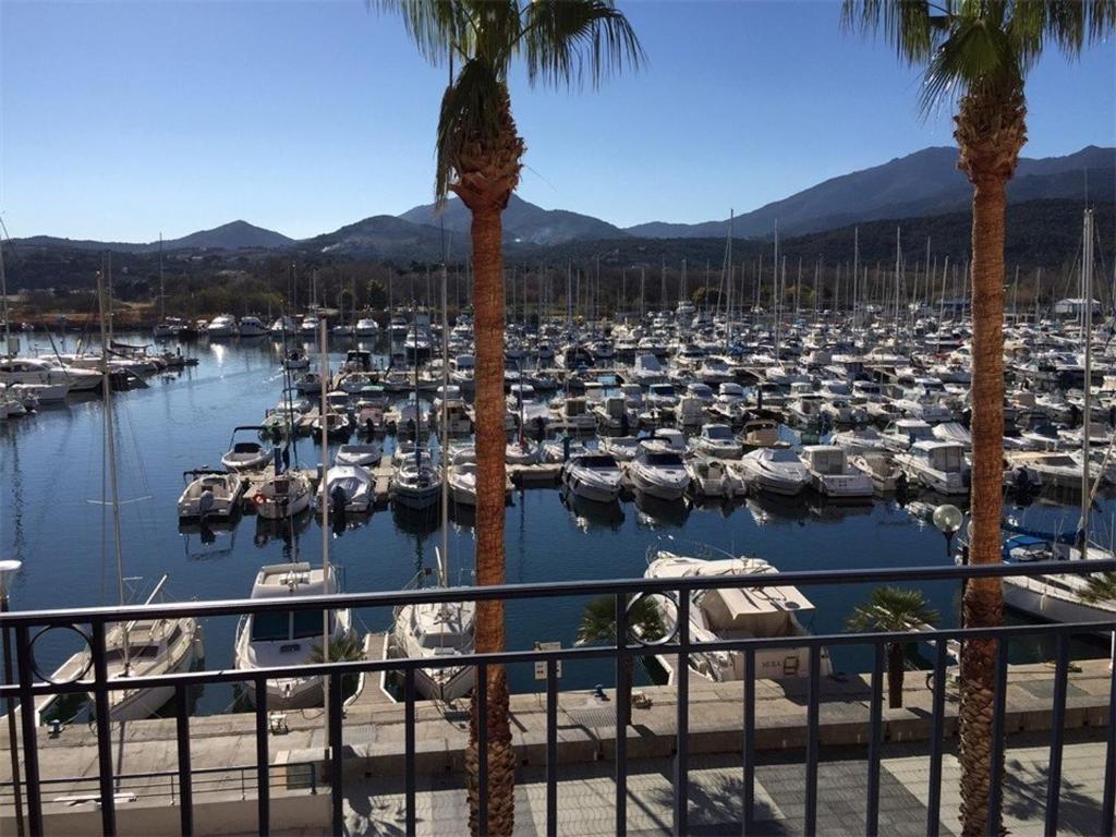 un port de plaisance regorgeant de bateaux et de palmiers dans l'établissement Studio cabine 4 pers près de la plage avec parking à Argelès-sur-Mer - FR-1-388-17, à Argelès-sur-Mer