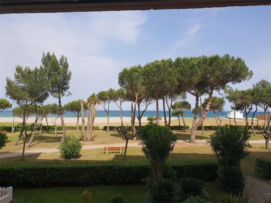 uma vista para um parque com árvores e uma praia em Appartement Argelès-sur-Mer, 2 pièces, 4 personnes - FR-1-388-31 em Argelès-sur-Mer