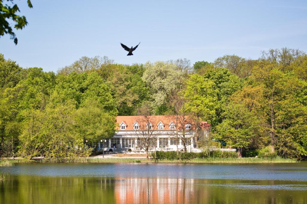 Un uccello che vola sopra una grande casa sopra un lago di Port Sołacz a Poznań