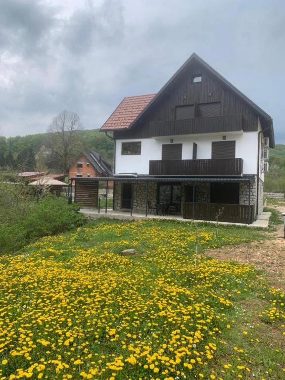 Guesthouse Family Bosnic - 17