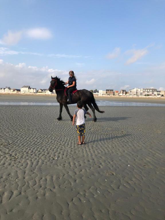 Horseback riding sa holiday home o sa malapit