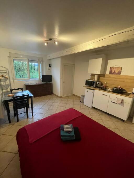 uma sala de estar com uma cozinha e um tapete vermelho em Le passage em Paroy-sur-Tholon