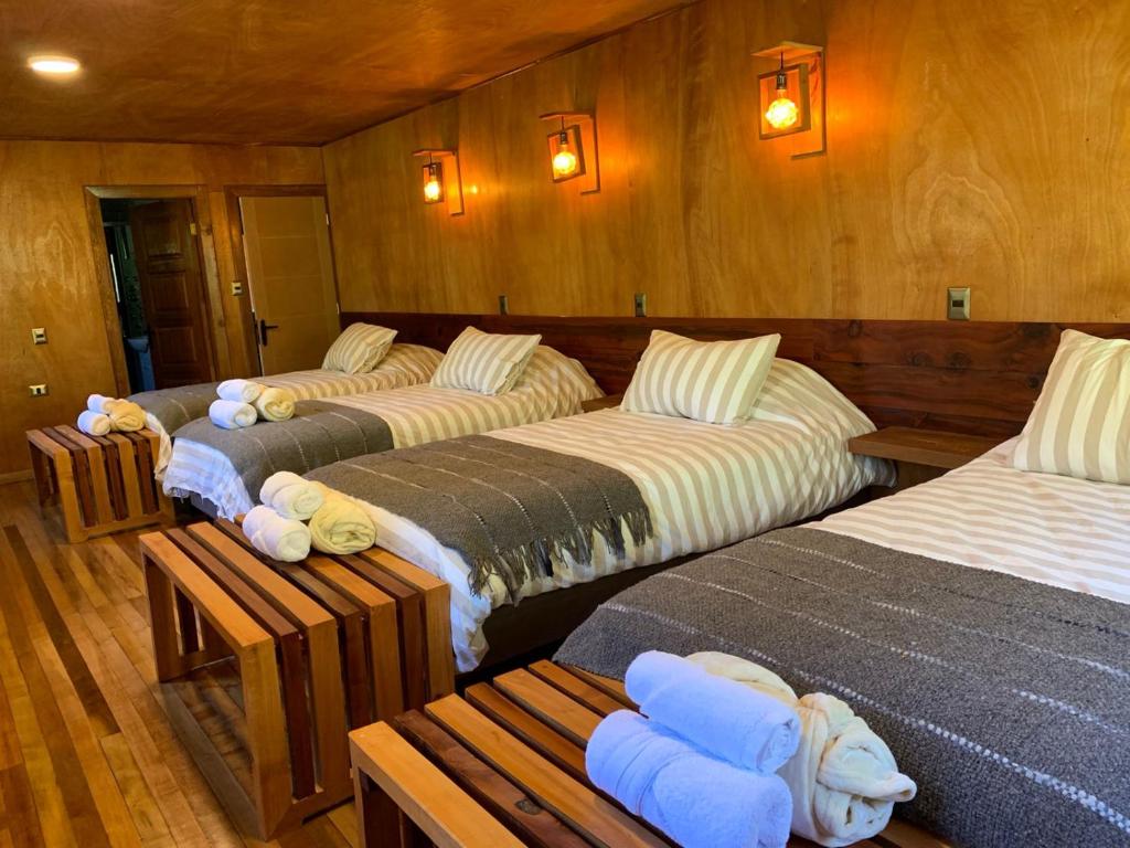 three beds in a room with wooden walls at Illi Lodge & Hostel in Ranco