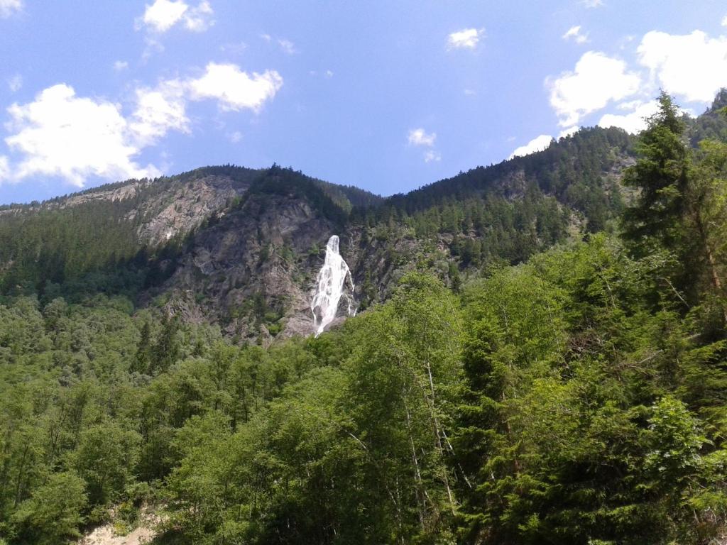 Příroda nedaleko apartmánu