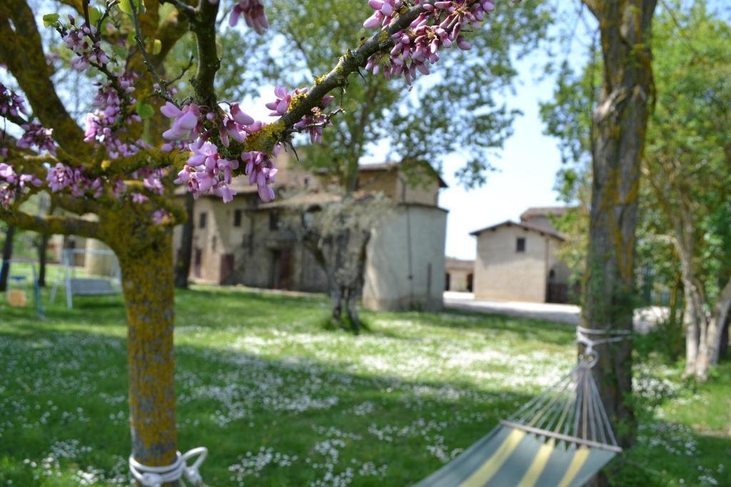 a hammock in a yard with a tree with pink flowers at Agriturismo Nestore in Nestore