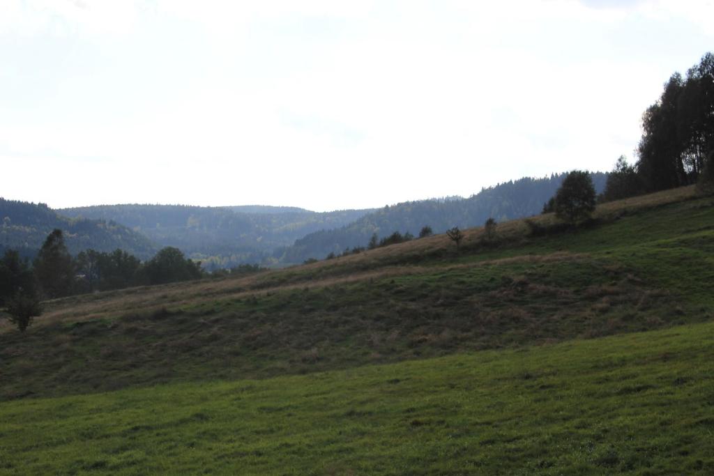 Príroda v okolí farmy