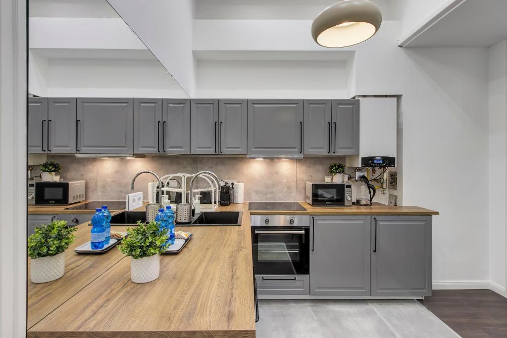 Kuchyň nebo kuchyňský kout v ubytování Semmelweis Apartment