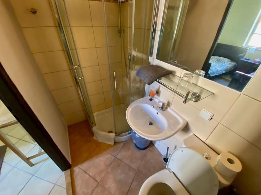 Łazienka w obiekcie GASTHAUS SCHLUCKENAU