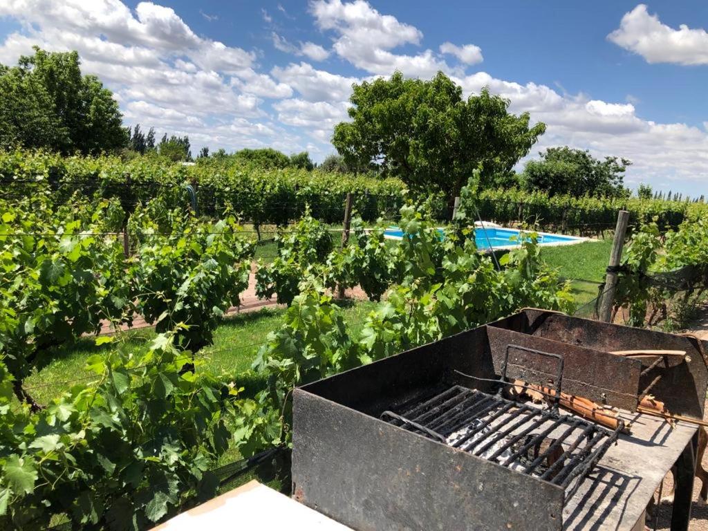 a garden with a grill in the middle of a field at Entre Viñedos in Ciudad Lujan de Cuyo