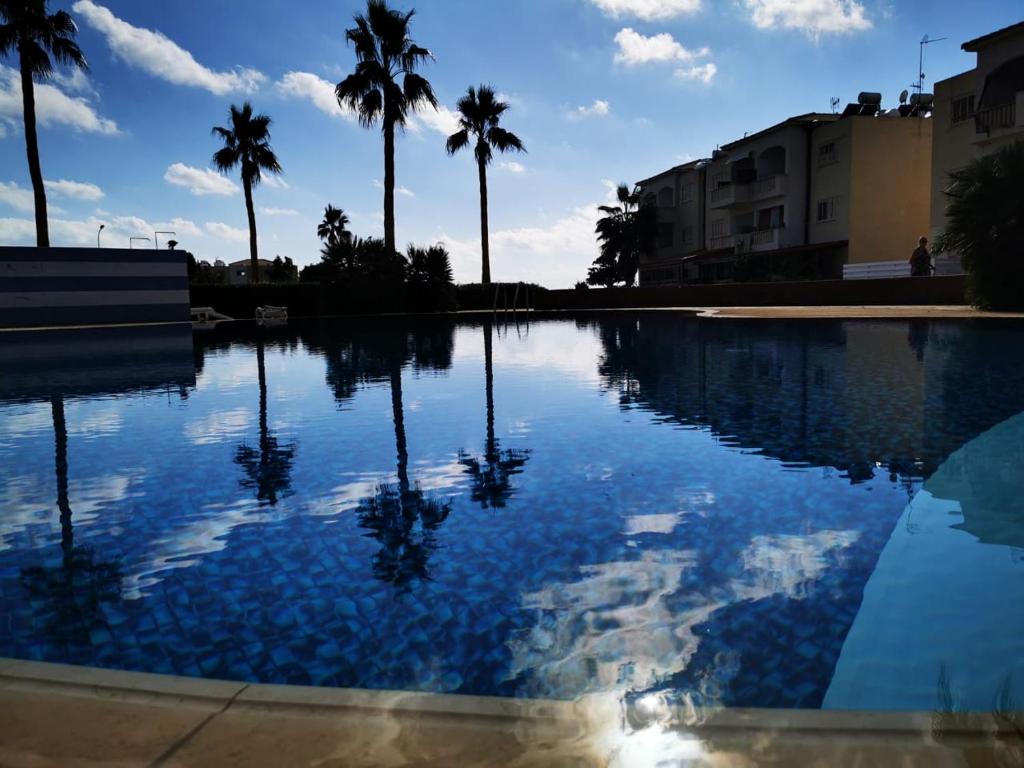 a pool of water with palm trees in the background at Escape and relax cozy apartment in Pafos! in Mandria
