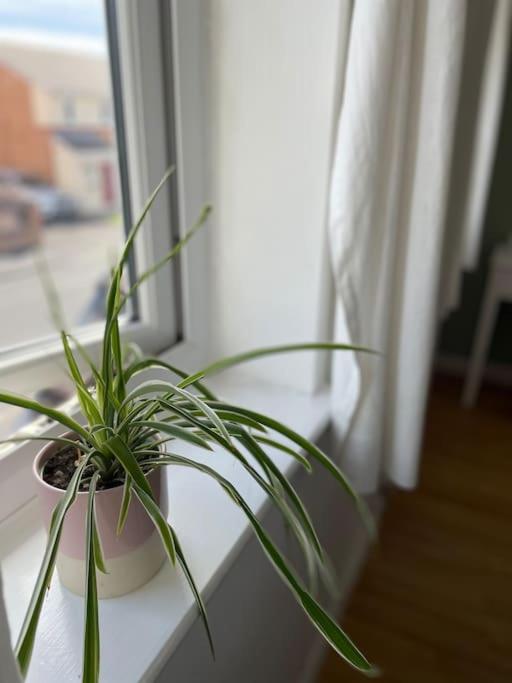 Manchester 2 Bedroom House with Garden - 两居室房屋
