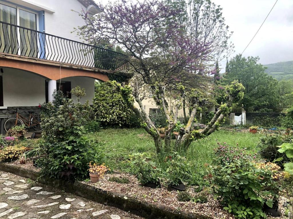 een tuin voor een huis met een boom bij Appartement Prats-de-Mollo-la-Preste, 2 pièces, 5 personnes - FR-1-659-58 in Prats-de-Mollo-la-Preste