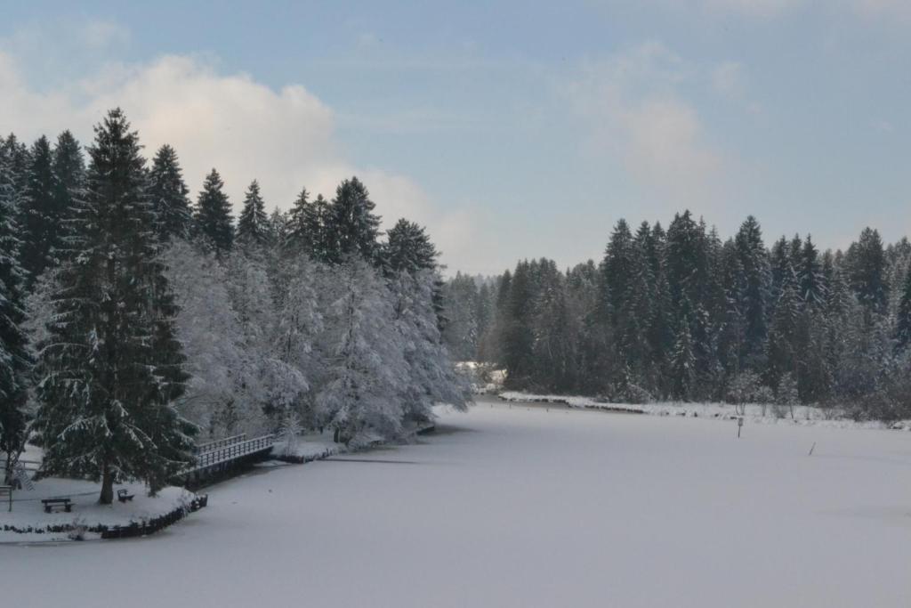 Hotel Waldsee v zimě