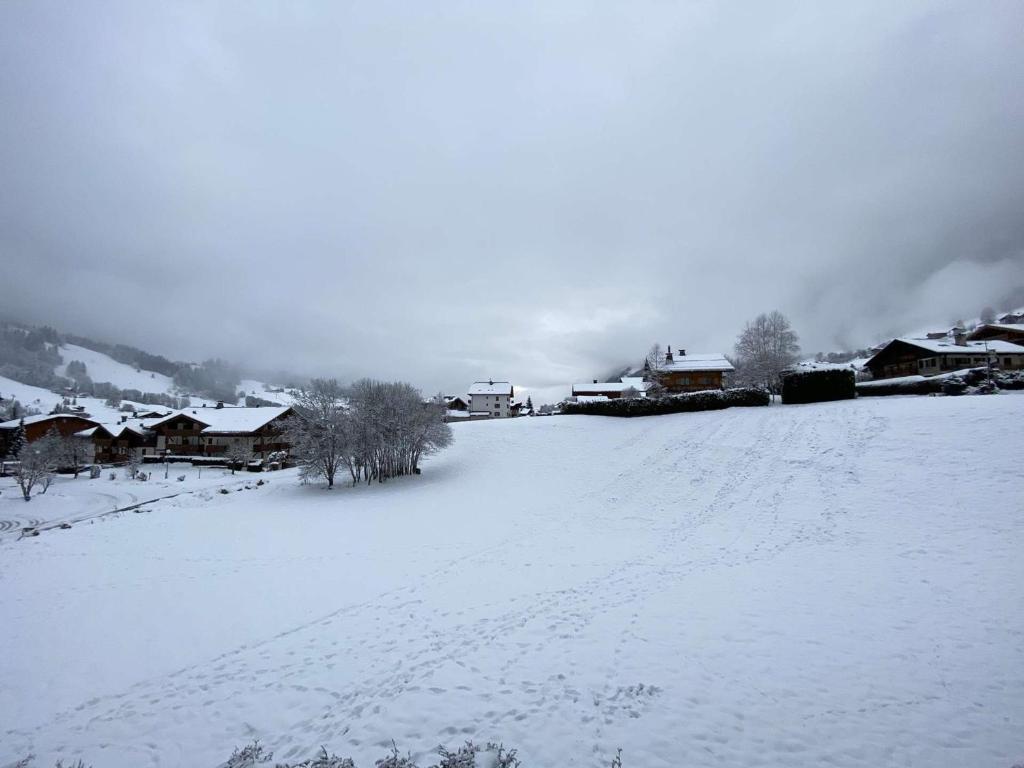 a snow covered field with houses and houses at Appartement Praz-sur-Arly, 3 pièces, 6 personnes - FR-1-603-16 in Praz-sur-Arly