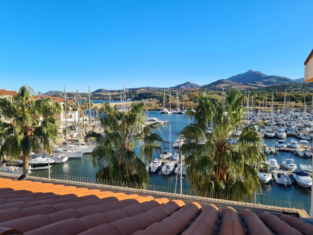 un port de plaisance avec des bateaux dans l'eau et des palmiers dans l'établissement Agréable 3 pièces avec 3 loggias, parking privé - Argelès-sur-Mer - FR-1-388-198, à Argelès-sur-Mer