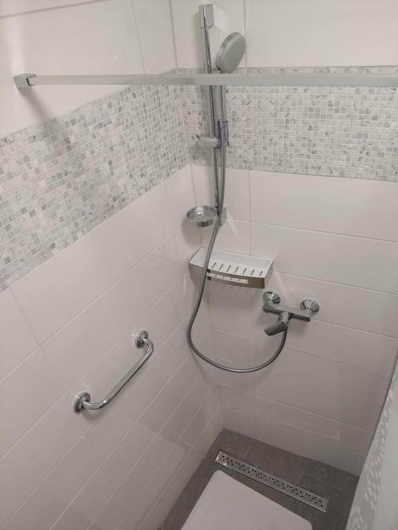 łazienka z prysznicem i toaletą w obiekcie Room Marija w Zagrzebiu