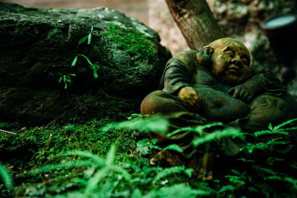 Fotografie z fotogalerie ubytování Tsukito v Kjótu