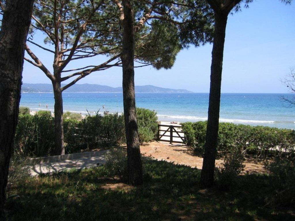 een uitzicht op het strand door enkele bomen bij Villa Cavalaire-sur-Mer, 3 pièces, 6 personnes - FR-1-100-199 in Cavalaire-sur-Mer