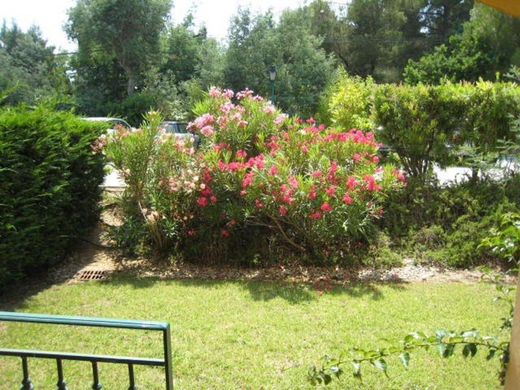 un jardin avec des fleurs et des buissons roses dans l'établissement Appartement T3 avec grand jardin privé, climatisation et parking - FR-1-100-205, à Cavalaire-sur-Mer