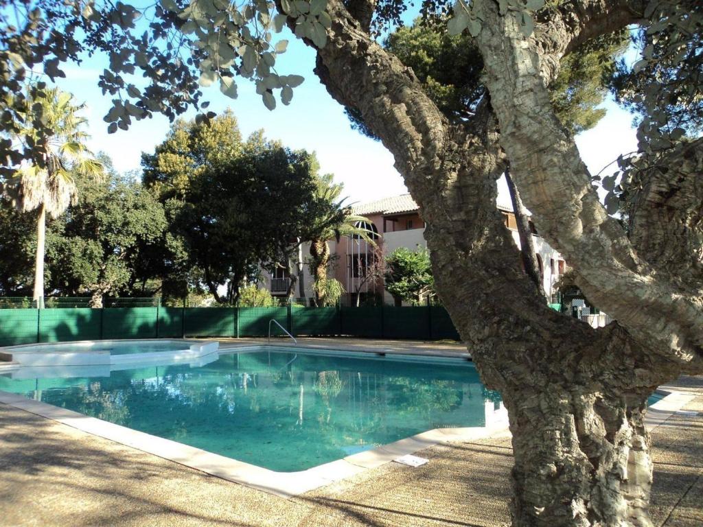 - une piscine avec un arbre à côté d'une maison dans l'établissement Appartement Saint-Aygulf, 1 pièce, 4 personnes - FR-1-226A-89, à Saint-Aygulf