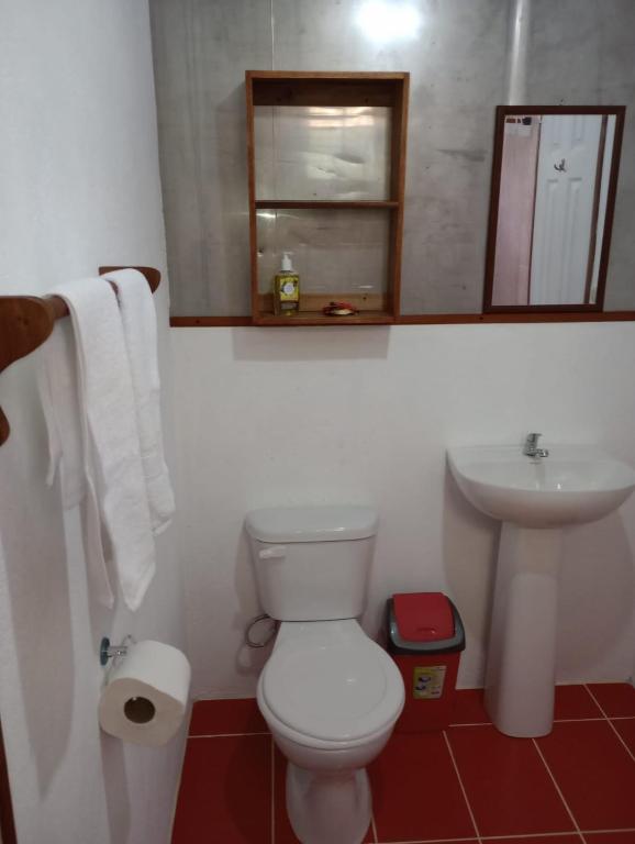 Koupelna v ubytování Container House Cahuita