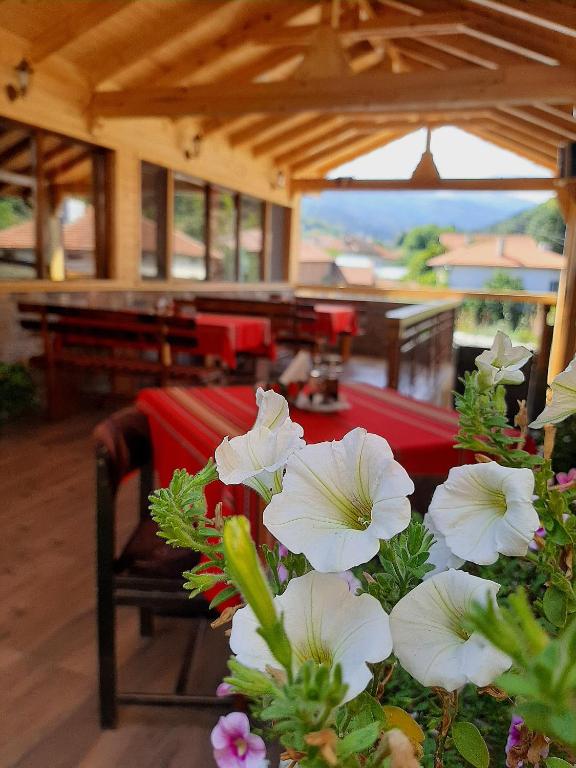 Fotografie z fotogalerie ubytování Kovacha Guest House v destinaci Raduil