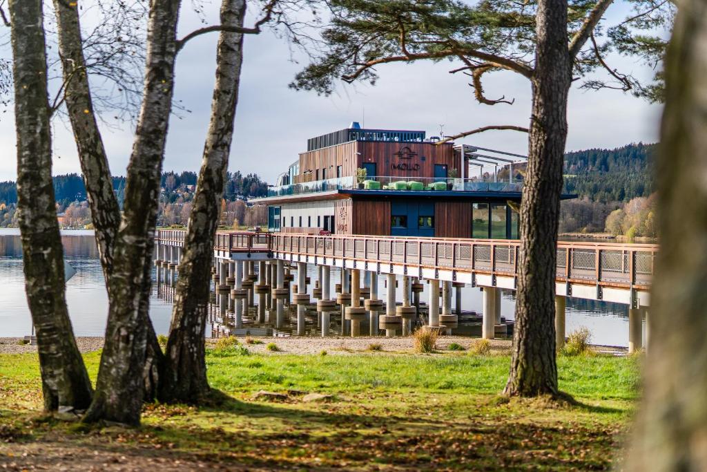 Příroda nedaleko apartmánu