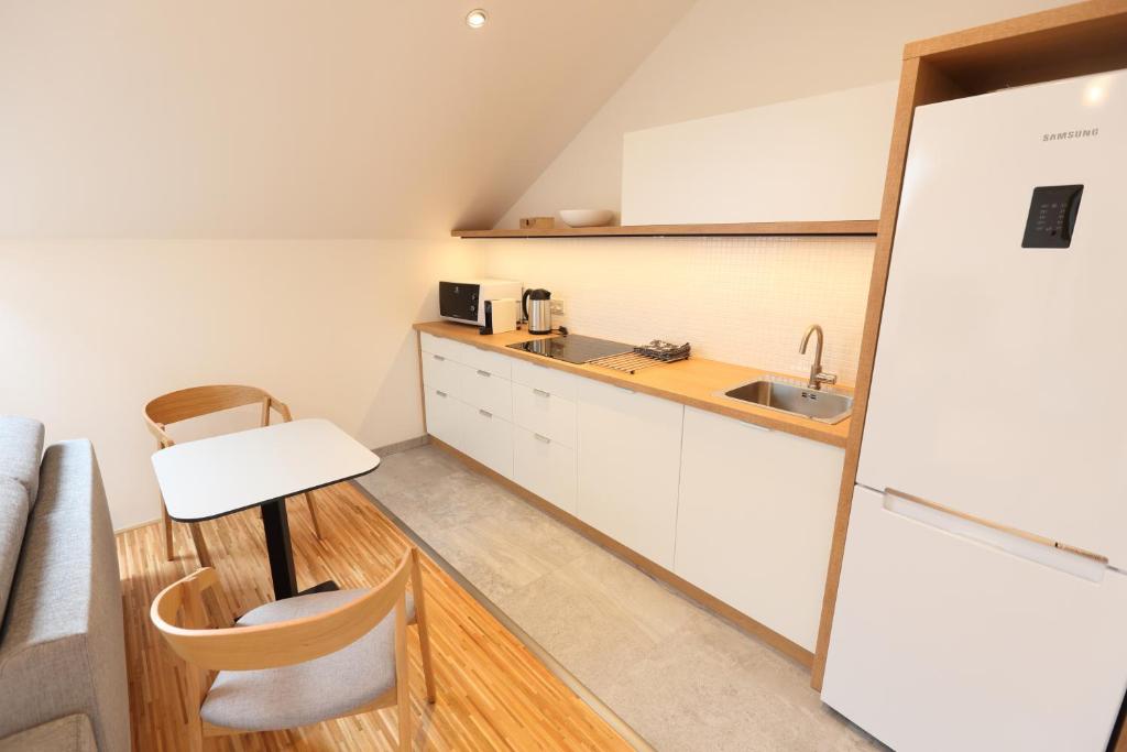 Kuchyň nebo kuchyňský kout v ubytování Apartmány U Květné zahrady