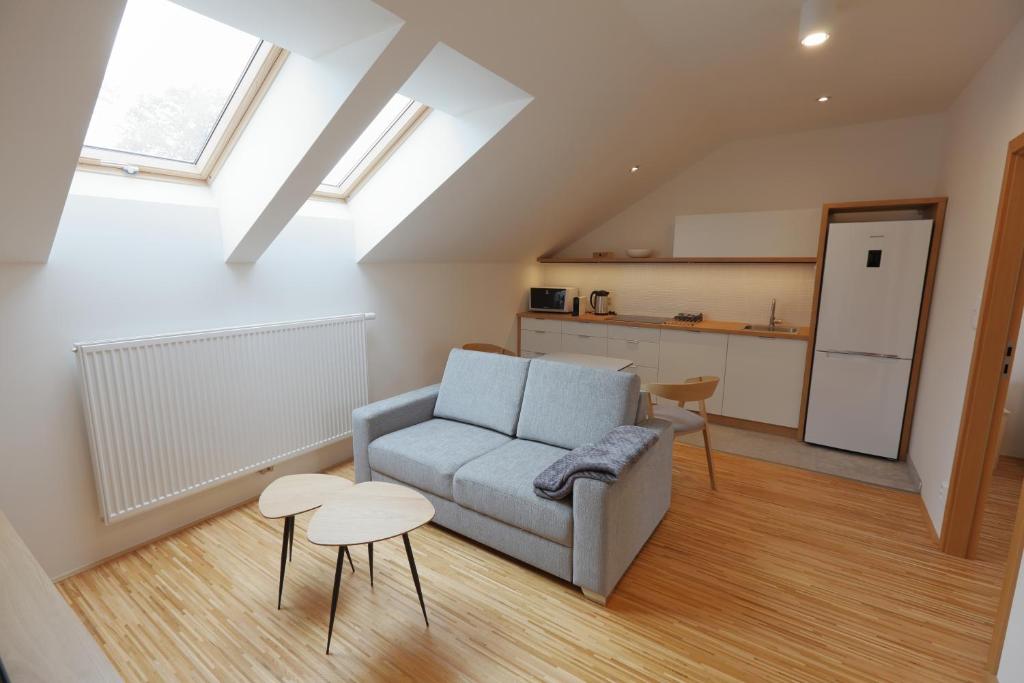 Kuchyň nebo kuchyňský kout v ubytování Apartmány U Květné zahrady