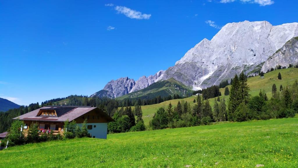Príroda v okolí apartmánu