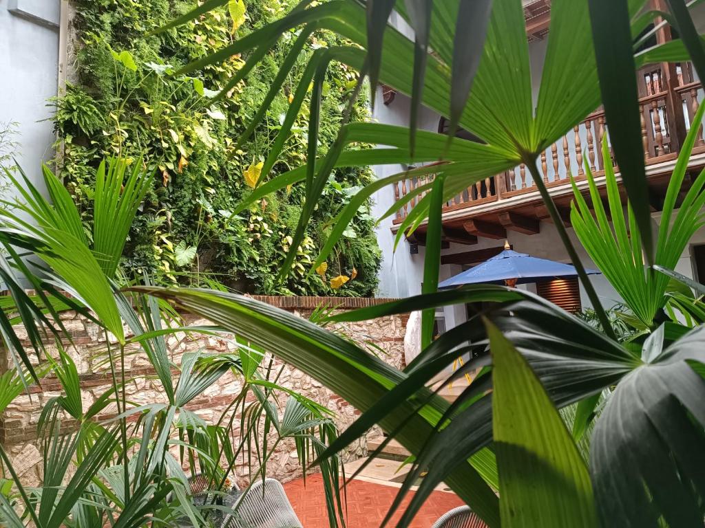Zahrada ubytování Hotel Casona del Porvenir