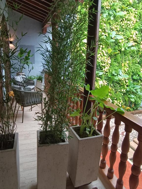Zahrada ubytování Hotel Casona del Porvenir