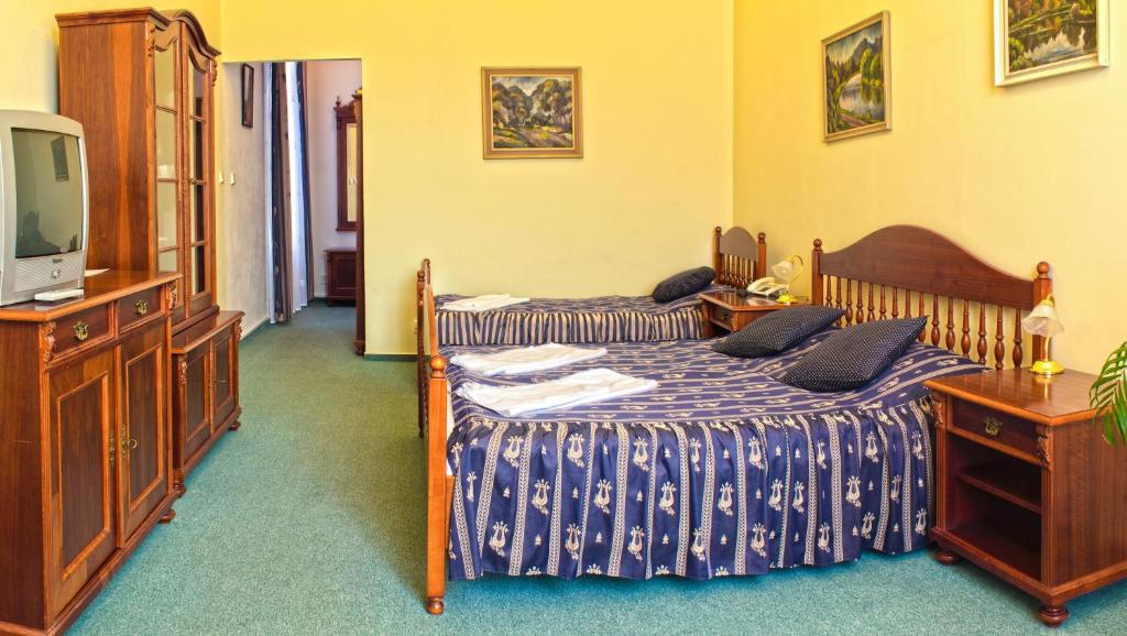 TV a/nebo společenská místnost v ubytování Hotel Zlatá Stoupa