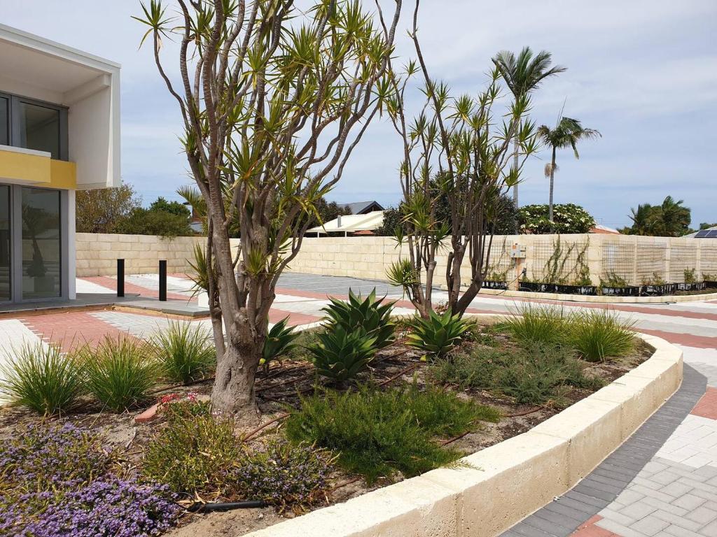 two trees in a garden in front of a building at Waverley apartment E-one bedroom wifi available in Perth