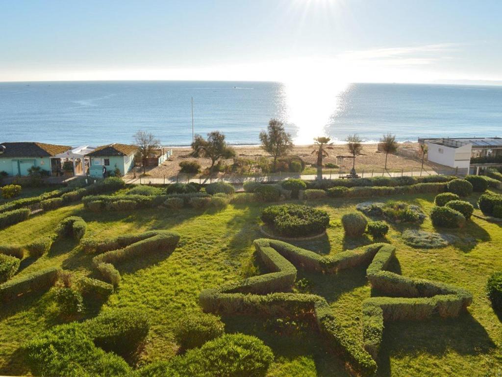 um campo de sebes com o oceano ao fundo em Appartement Le Lavandou, 1 pièce, 4 personnes - FR-1-251-251 em Le Lavandou