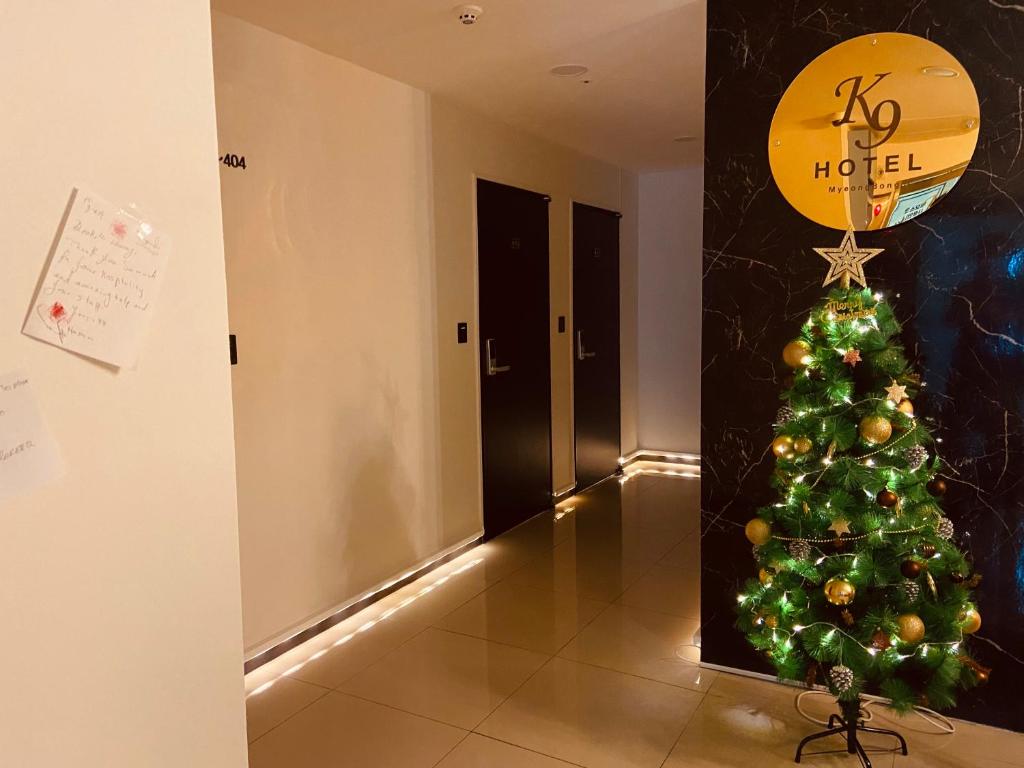 Fotografie z fotogalerie ubytování K9 Myeongdong Hotel v Soulu